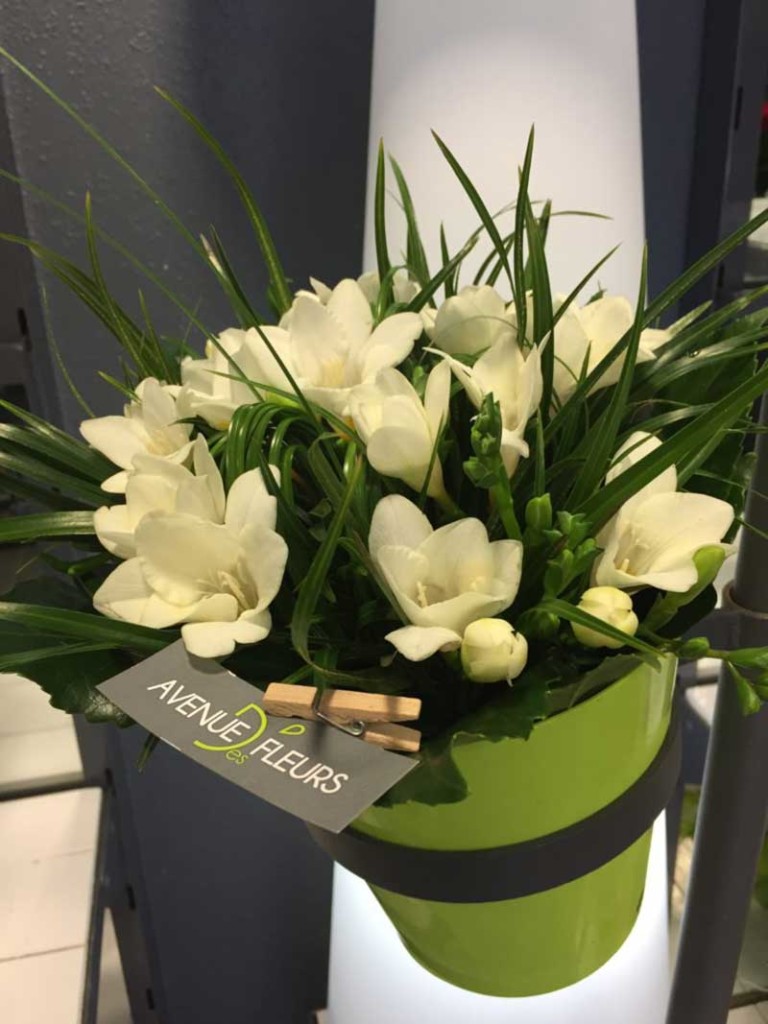Avenue Des Fleurs Fleuriste De Nouvelles Villes 1111 42