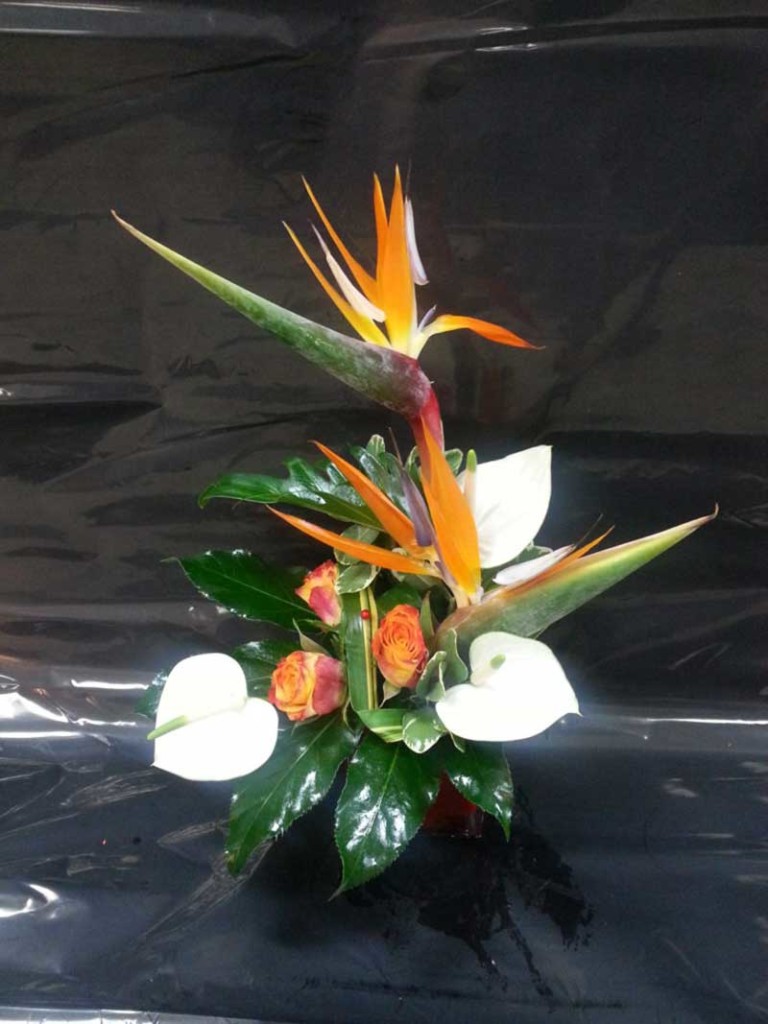 Avenue Des Fleurs Fleuriste De Nouvelles Villes 1111 7