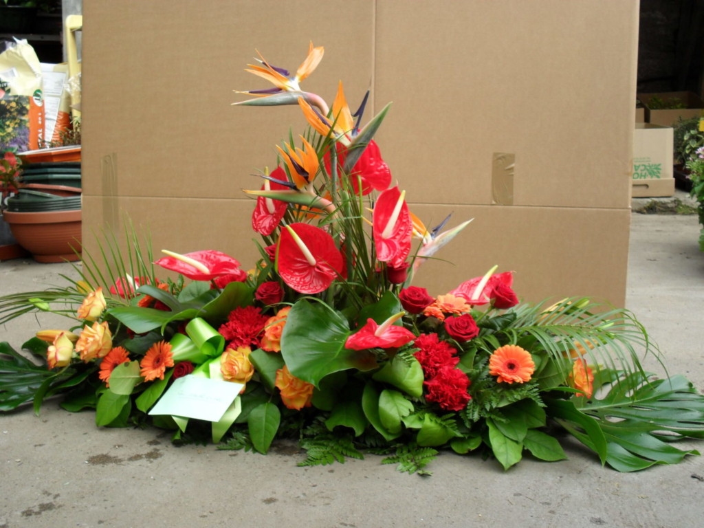 Avenue Des Fleurs Fleuriste De Nouvelles Villes 444