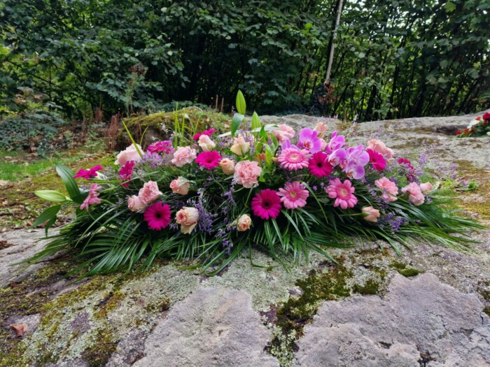Avenue Des Fleurs Fleuriste De Nouvelles Villes Raquette129 130 131 138 139 140 147 148 149 156 157 158
