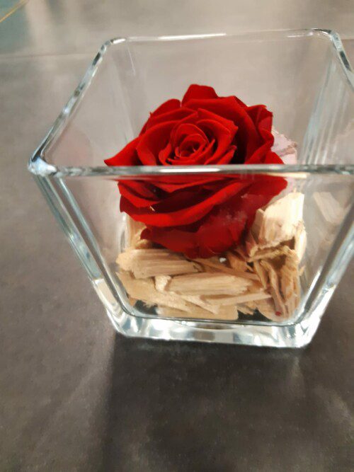 Avenue Des Fleurs Fleuriste Rosee 120