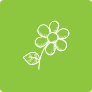 Avenue Des Fleurs Fleuriste De Nouvelles Villes Fleurs Fraiches 2 Avenue Des Fleurs Fleuriste De Nouvelles Villes Fleurs Fraiches 2