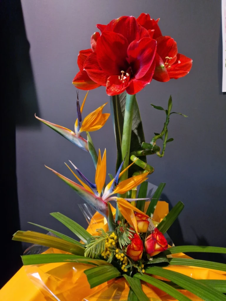 Avenue Des Fleurs Fleuriste Avenue Des Fleurs 11