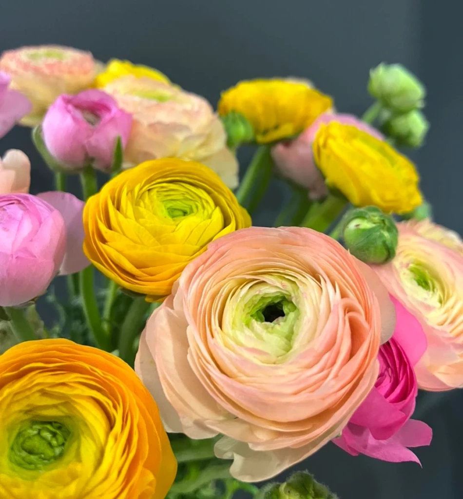 Avenue Des Fleurs Fleuriste Avenue Des Fleurs 4